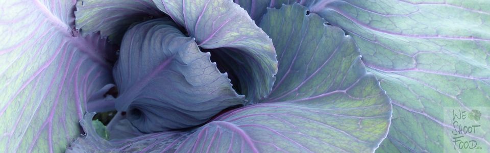 Rotkohl